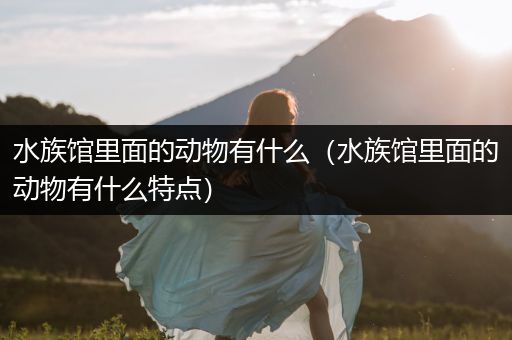 水族馆里面的动物有什么（水族馆里面的动物有什么特点）