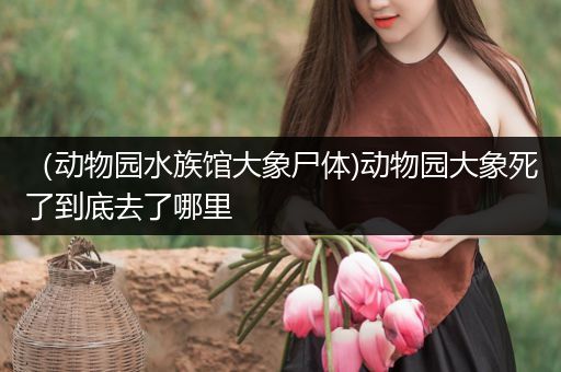 （动物园水族馆大象尸体)动物园大象死了到底去了哪里