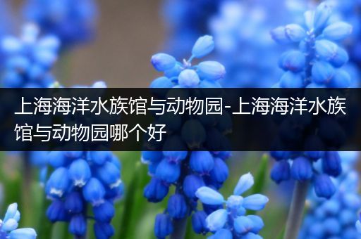上海海洋水族馆与动物园-上海海洋水族馆与动物园哪个好