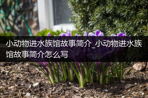 小动物进水族馆故事简介_小动物进水族馆故事简介怎么写