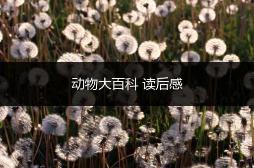 动物大百科 读后感