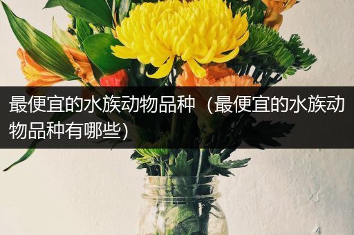 最便宜的水族动物品种（最便宜的水族动物品种有哪些）