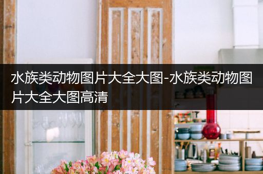 水族类动物图片大全大图-水族类动物图片大全大图高清