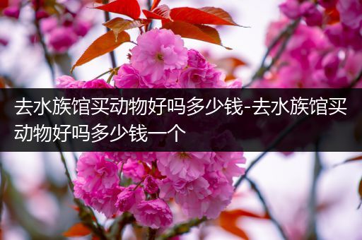 去水族馆买动物好吗多少钱-去水族馆买动物好吗多少钱一个