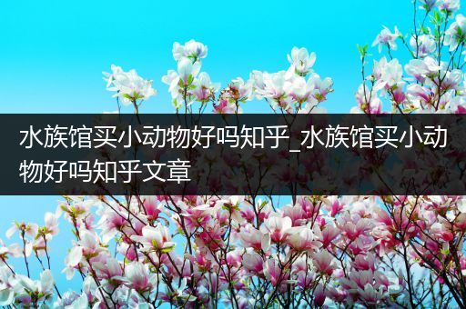 水族馆买小动物好吗知乎_水族馆买小动物好吗知乎文章