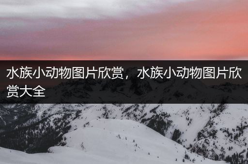 水族小动物图片欣赏，水族小动物图片欣赏大全