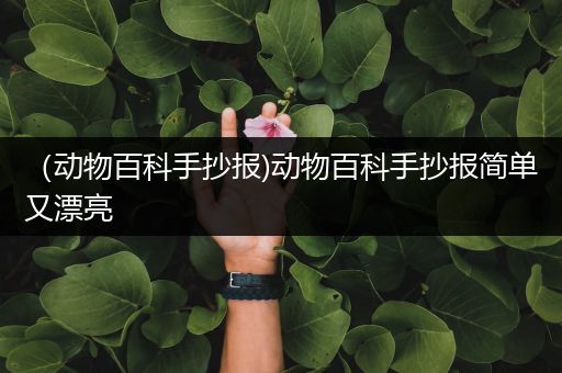 （动物百科手抄报)动物百科手抄报简单又漂亮