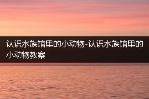 认识水族馆里的小动物-认识水族馆里的小动物教案