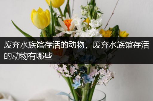 废弃水族馆存活的动物，废弃水族馆存活的动物有哪些