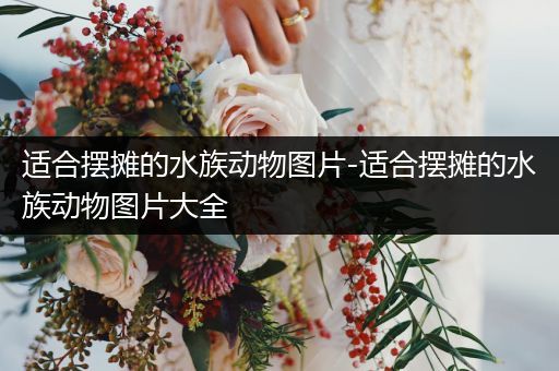 适合摆摊的水族动物图片-适合摆摊的水族动物图片大全