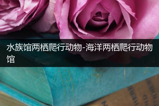 水族馆两栖爬行动物-海洋两栖爬行动物馆