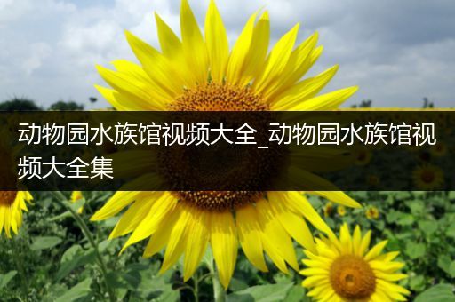 动物园水族馆视频大全_动物园水族馆视频大全集
