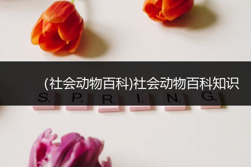 （社会动物百科)社会动物百科知识