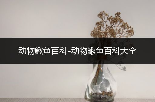 动物鳅鱼百科-动物鳅鱼百科大全