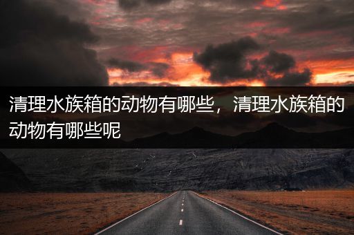 清理水族箱的动物有哪些，清理水族箱的动物有哪些呢