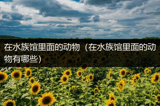 在水族馆里面的动物（在水族馆里面的动物有哪些）