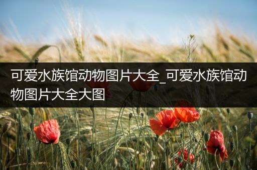 可爱水族馆动物图片大全_可爱水族馆动物图片大全大图