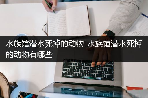 水族馆潜水死掉的动物_水族馆潜水死掉的动物有哪些