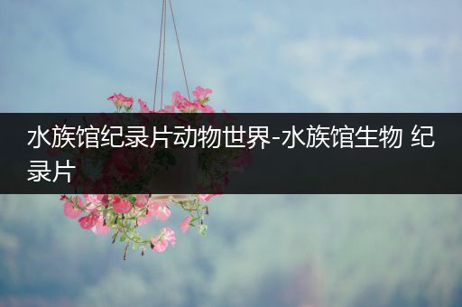 水族馆纪录片动物世界-水族馆生物 纪录片