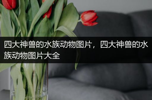 四大神兽的水族动物图片，四大神兽的水族动物图片大全