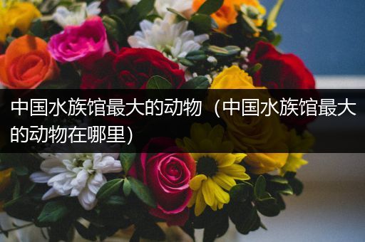 中国水族馆最大的动物（中国水族馆最大的动物在哪里）