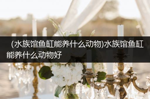 （水族馆鱼缸能养什么动物)水族馆鱼缸能养什么动物好