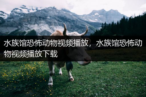水族馆恐怖动物视频播放，水族馆恐怖动物视频播放下载