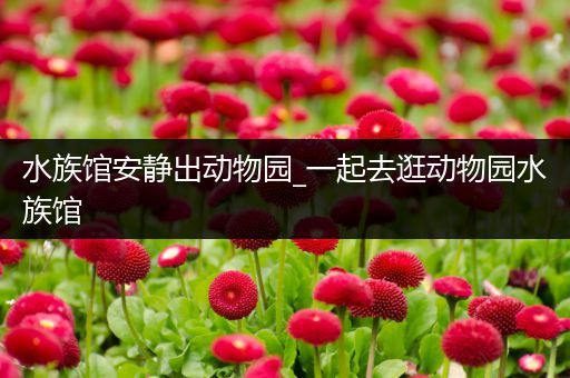 水族馆安静出动物园_一起去逛动物园水族馆