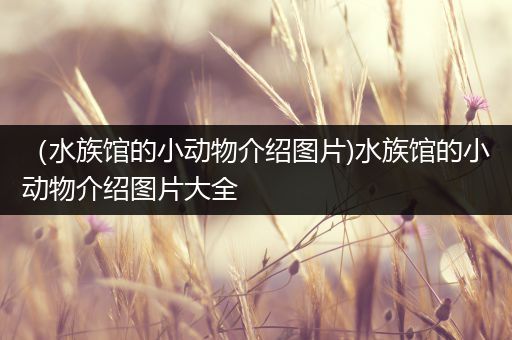 （水族馆的小动物介绍图片)水族馆的小动物介绍图片大全