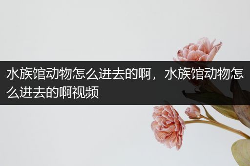 水族馆动物怎么进去的啊，水族馆动物怎么进去的啊视频