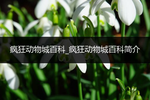疯狂动物城百科_疯狂动物城百科简介