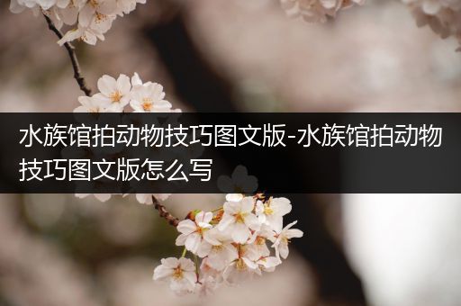 水族馆拍动物技巧图文版-水族馆拍动物技巧图文版怎么写