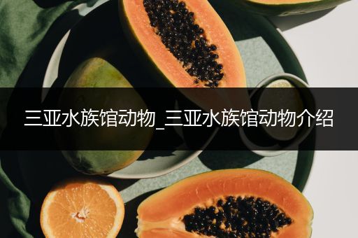 三亚水族馆动物_三亚水族馆动物介绍
