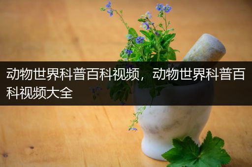 动物世界科普百科视频，动物世界科普百科视频大全