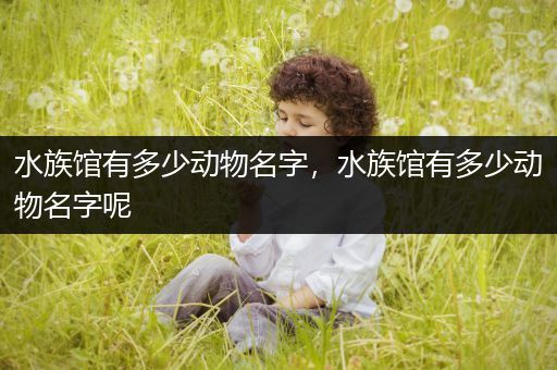 水族馆有多少动物名字，水族馆有多少动物名字呢