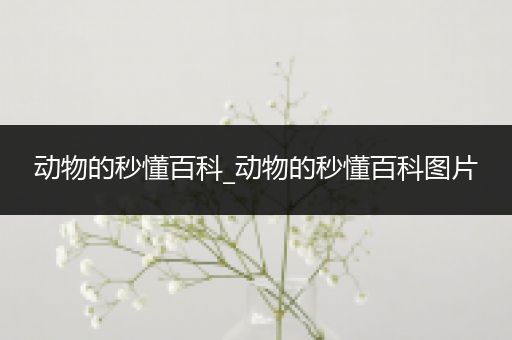 动物的秒懂百科_动物的秒懂百科图片