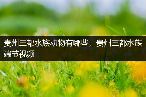 贵州三都水族动物有哪些，贵州三都水族端节视频
