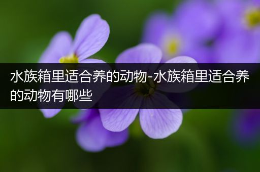 水族箱里适合养的动物-水族箱里适合养的动物有哪些