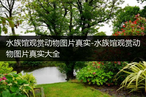 水族馆观赏动物图片真实-水族馆观赏动物图片真实大全