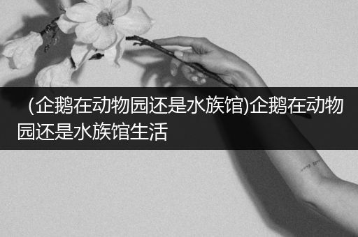 （企鹅在动物园还是水族馆)企鹅在动物园还是水族馆生活
