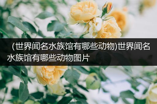 （世界闻名水族馆有哪些动物)世界闻名水族馆有哪些动物图片