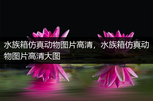 水族箱仿真动物图片高清，水族箱仿真动物图片高清大图
