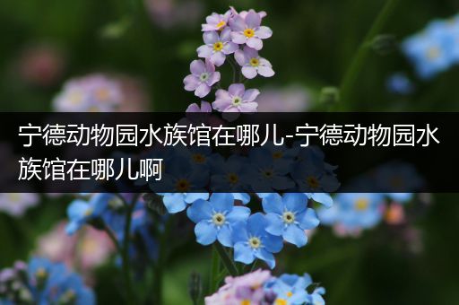 宁德动物园水族馆在哪儿-宁德动物园水族馆在哪儿啊
