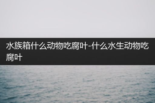 水族箱什么动物吃腐叶-什么水生动物吃腐叶