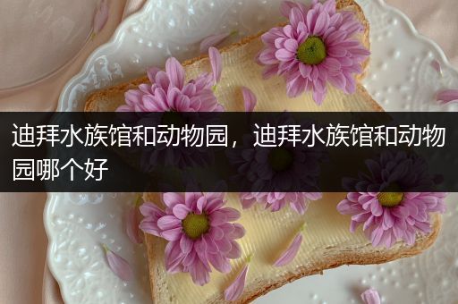 迪拜水族馆和动物园，迪拜水族馆和动物园哪个好