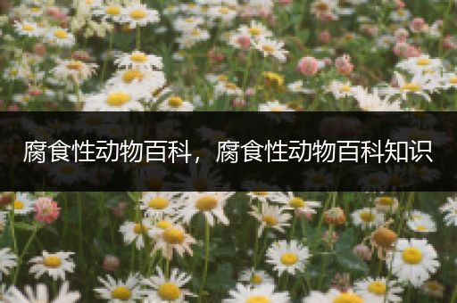 腐食性动物百科，腐食性动物百科知识
