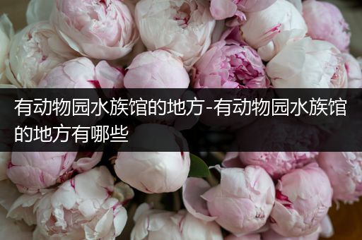 有动物园水族馆的地方-有动物园水族馆的地方有哪些