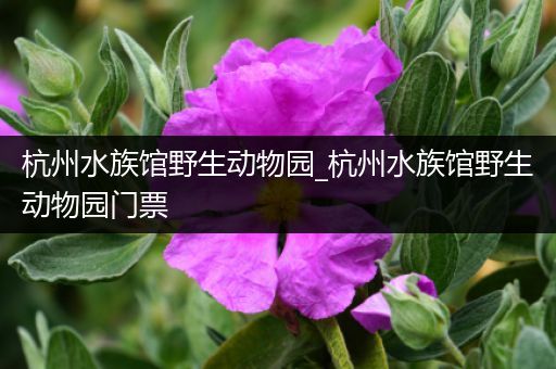 杭州水族馆野生动物园_杭州水族馆野生动物园门票
