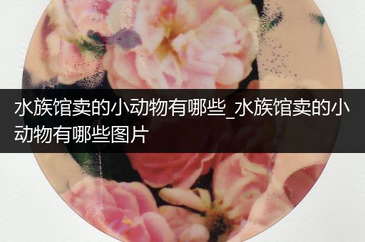 水族馆卖的小动物有哪些_水族馆卖的小动物有哪些图片
