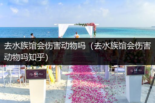 去水族馆会伤害动物吗（去水族馆会伤害动物吗知乎）